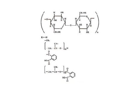 Hypromellose Phthalate